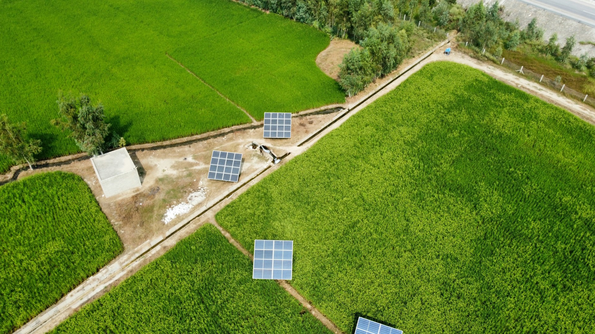Usina solar fornecendo energia renovável para consumidores empresariais